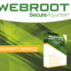 Illustration for article titled Webroot safe activation em/em